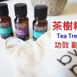茶樹精油的8種功效及副作用（9點使用禁忌請小心）