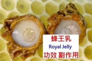 Royal-jelly