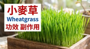 wheatgrass-benefits-side-effects