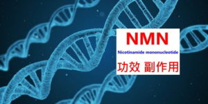 nmn-benefits-side-effects