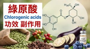 chlorogenic-acids-benefits-side-effects