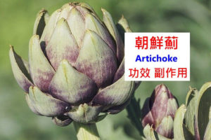 artichoke-benefits-side-effects