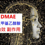 DMAE（二甲基乙醇胺）的4種功效及副作用 （4點使用禁忌請留意）
