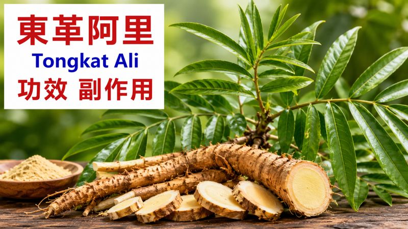 tongkat-ali-benefits-side-effects