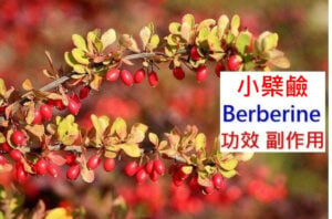 berberine-benefits-side-effects