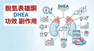 dhea-benefit-side-effects