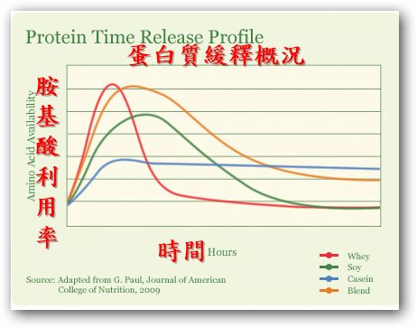 各種蛋白補給產品的胺基酸利用率