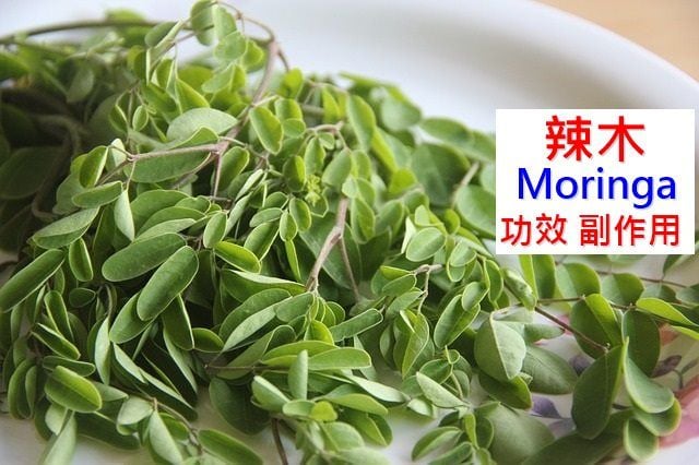 moringa-oleifera-benefits-side-effects