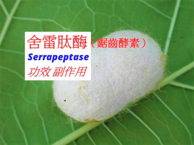serrapeptase-benefits-side-effects