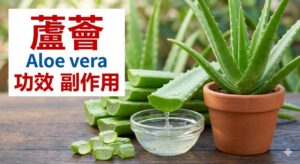 aloe-vera-benefits-side-effects