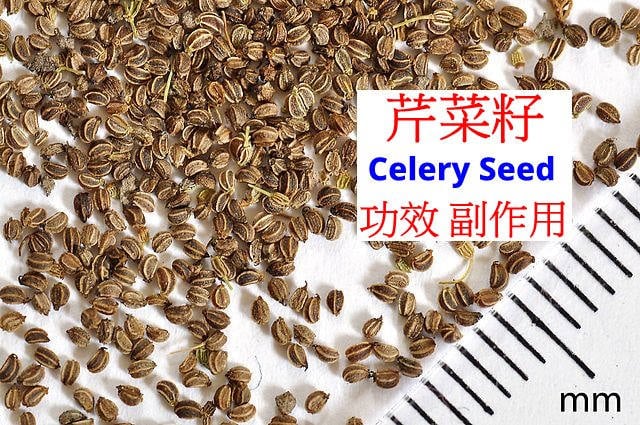 celery-seed-benefits-side-effects