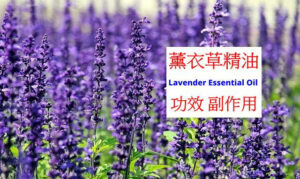 lavender-essential-oil-benefit
