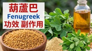 fenugreek-benefits-side-effects