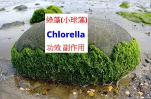 chlorella-benefits-side-effects