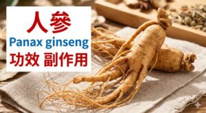panax-ginseng-benefit