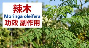 moringa-oleifera-benefits-side-effects