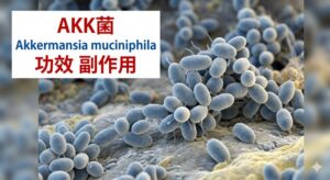 akkermansia-muciniphila