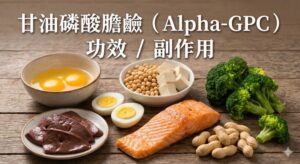 alpha-gpc-benefits-side-effects