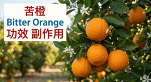 bitter-orange-benefits-side-effects