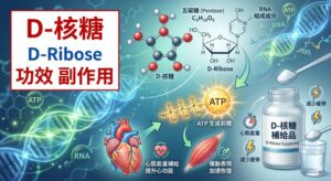 d-ribose-benefits-side-effects