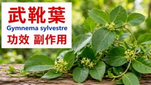 gymnema-sylvestre-benefit