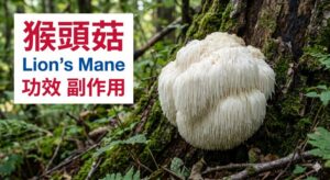 lion-s-mane-benefits-side-effects