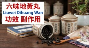 六味地黃丸