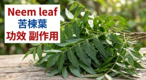 neem-leaf-benefits-side-effects