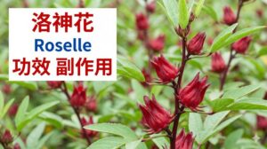 roselle-benefit-side-effects