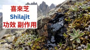 shilajit-benefits-side-effects