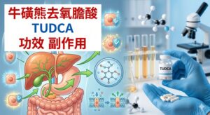 tudca-benefit-side-effects