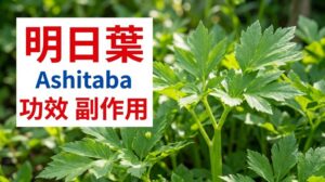 ashitaba-benefits-side-effects