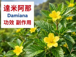 damiana-benefits-side-effects-dosage