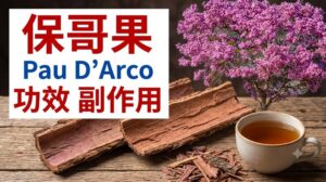 pau-darco-benefits-side-effects
