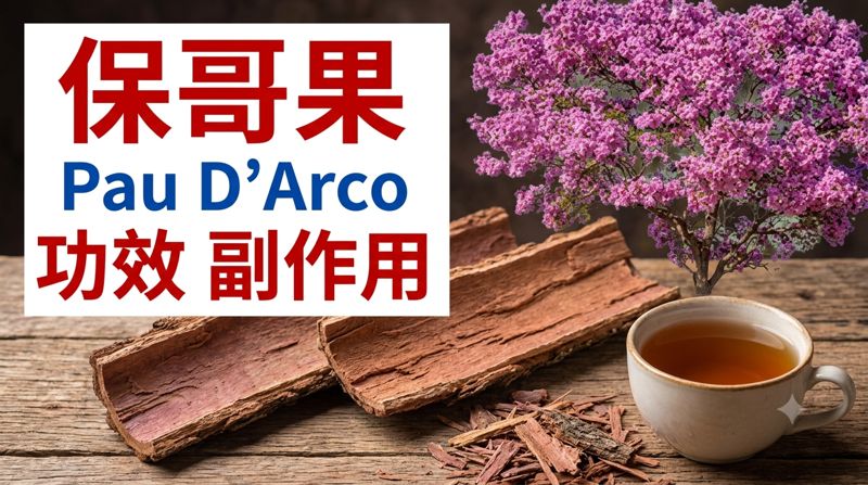 pau-darco-benefits-side-effects