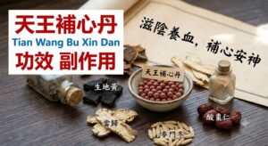 tian-wang-bu-xin-dan