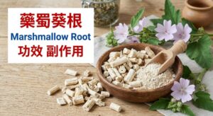 marshmallow-root-benefits-side-effects