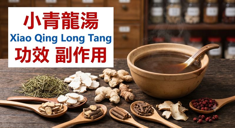 xiao-qing-long-tang-benefits-side-effects