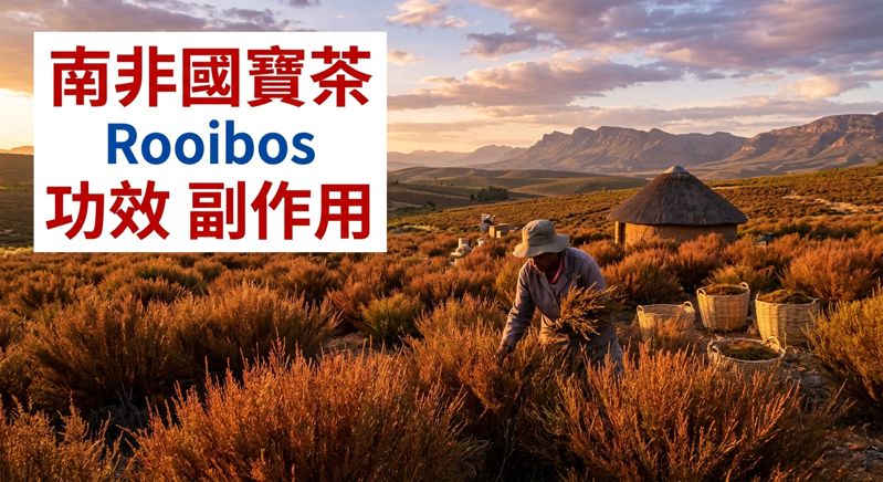 rooibos-tea-benefits-side-effects