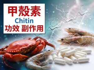 chitin-benefits-side-effects