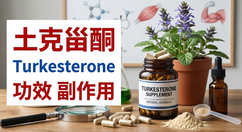 turkesterone-benefits-safety